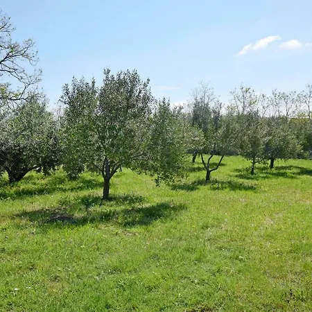 Appartamento Maja Vrsi